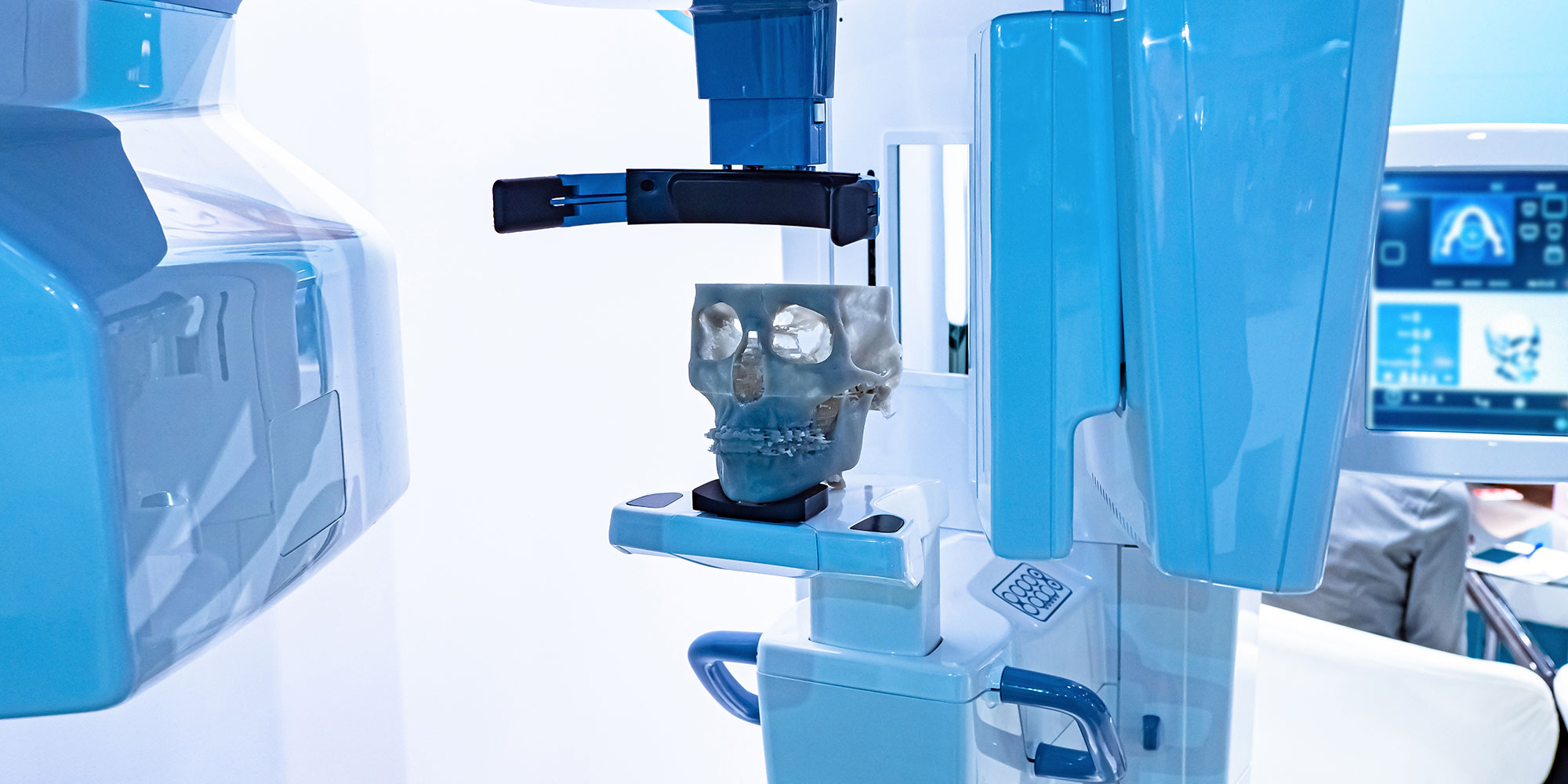 jawbone model with cbct